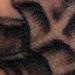 Tattoos - Little Seahorse  - 62459